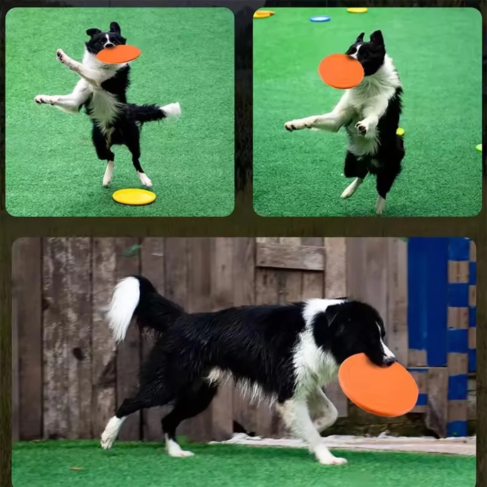 Flying Disc Dog Training Toy - Disque volant pour chien en TPR,