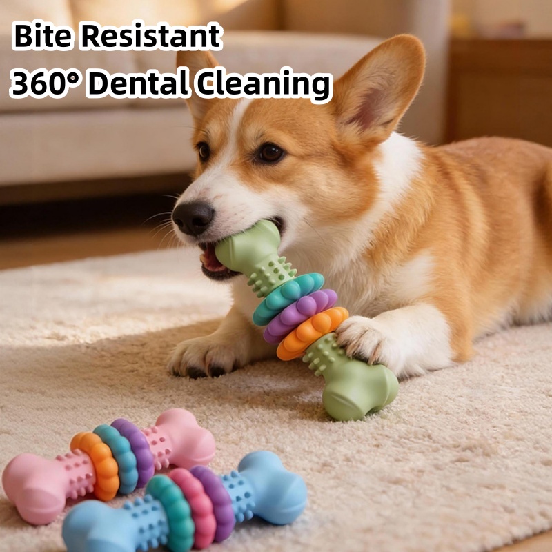 Teeth Cleaning Dog Chew Bone - Jouet à mâcher durable en TPR