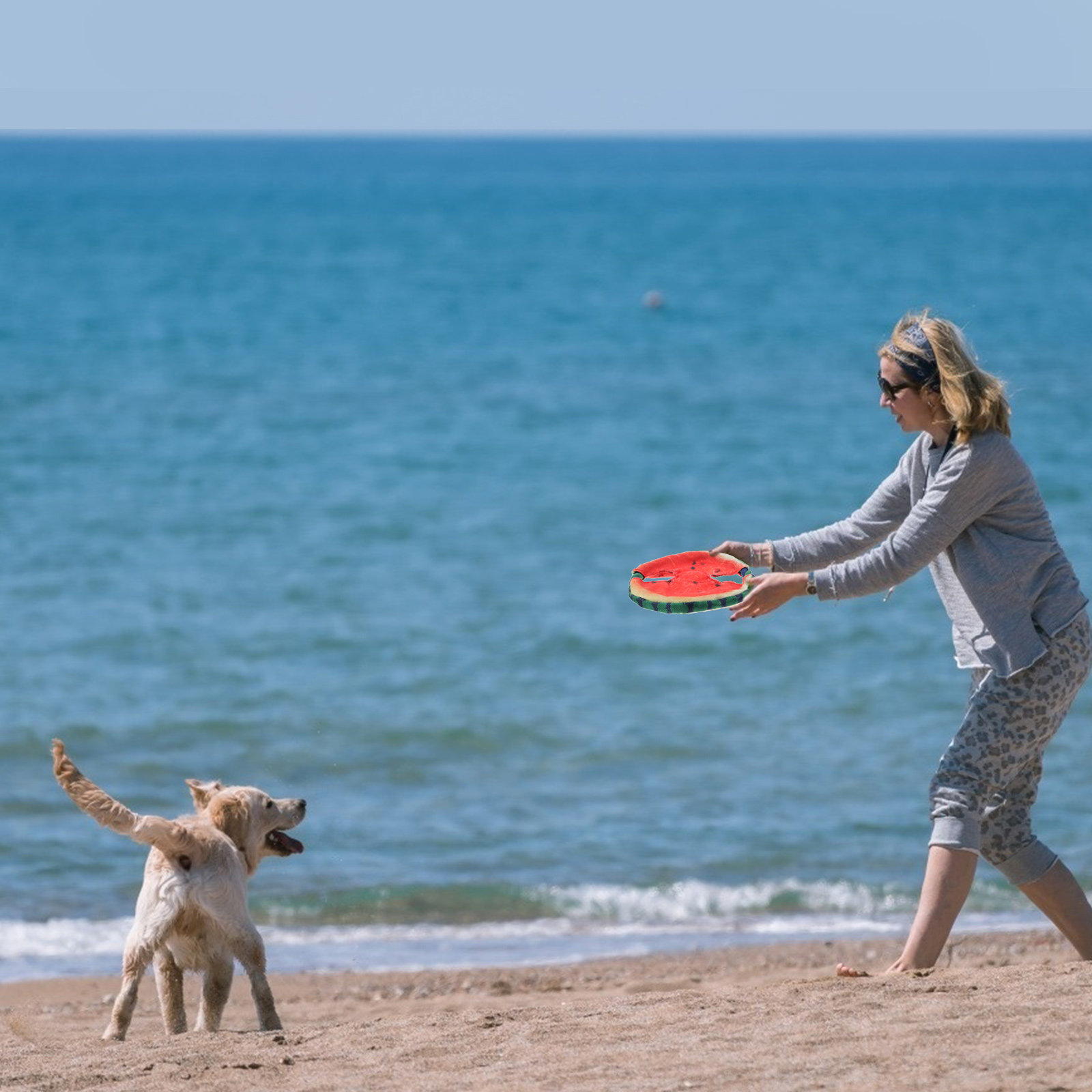 Flying Disc Dog Training Toy - 1 pièce, disque volant en forme