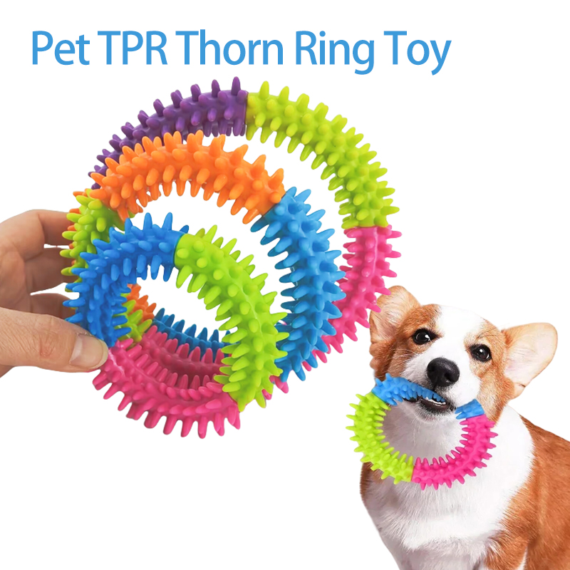 Flying Disc Dog Training Toy - Jouets mignons pour chiens : Disques
