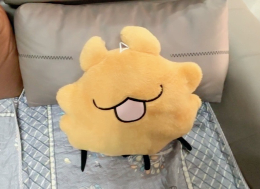 Dog Toys - Oreiller câlin de 40 cm, coussin