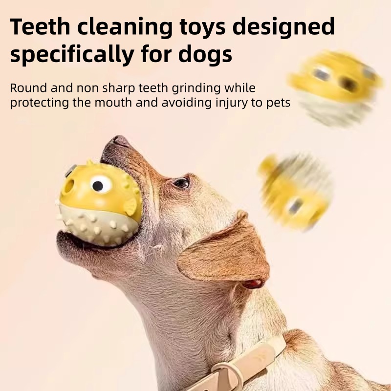 Jouet interactif pour chien, d - Rubber Treat Dispensing Dog Toy avis et prix