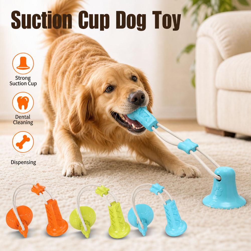 Jouet à mâcher pour chien à ve - Suction Cup Dog Tug Toy avis et prix