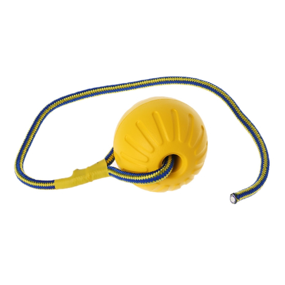 Balle jouet pour chien avec co - Suction Cup Dog Tug Toy avis et prix