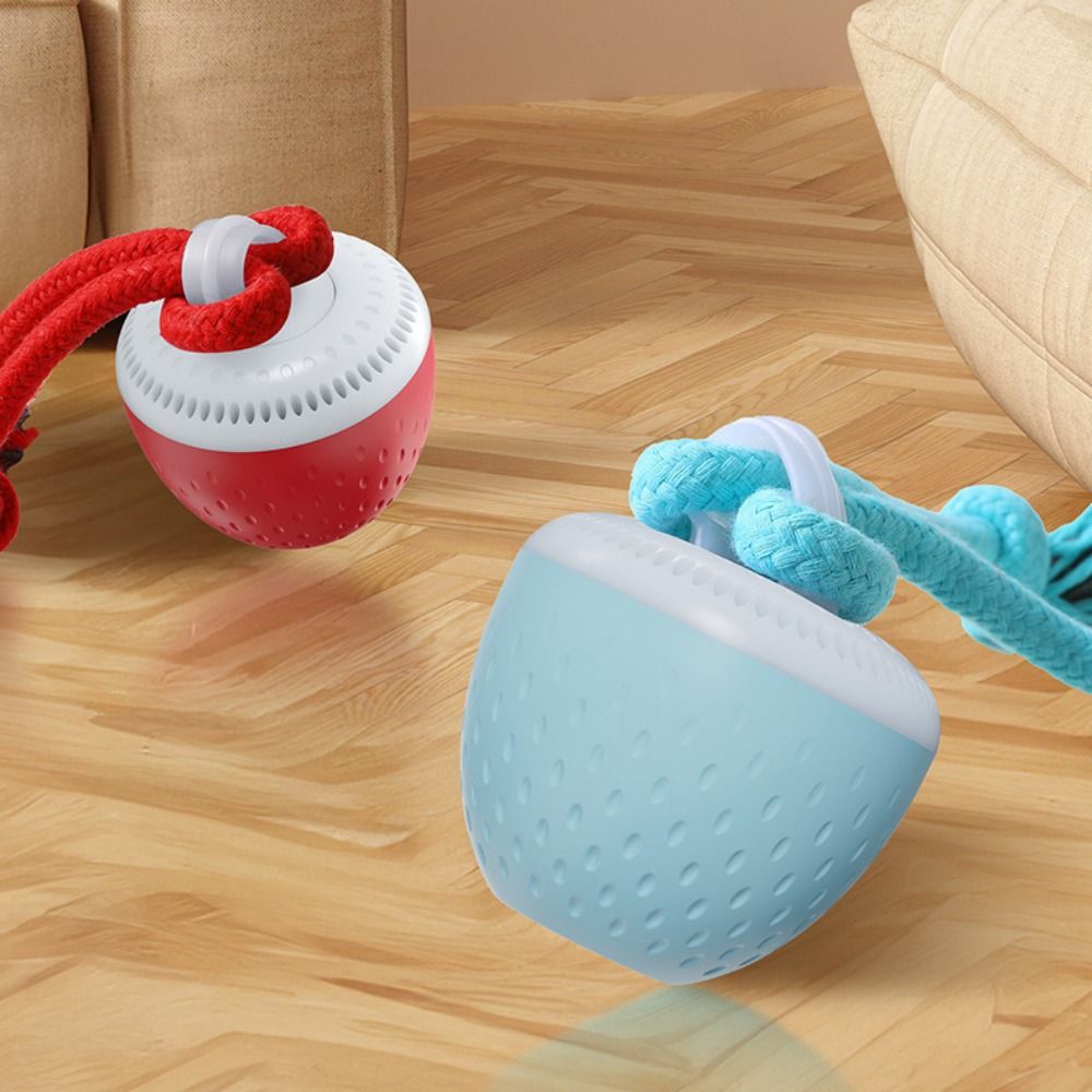 Balle de jeu intelligente pour - Automatic Moving Dog Ball avis et prix