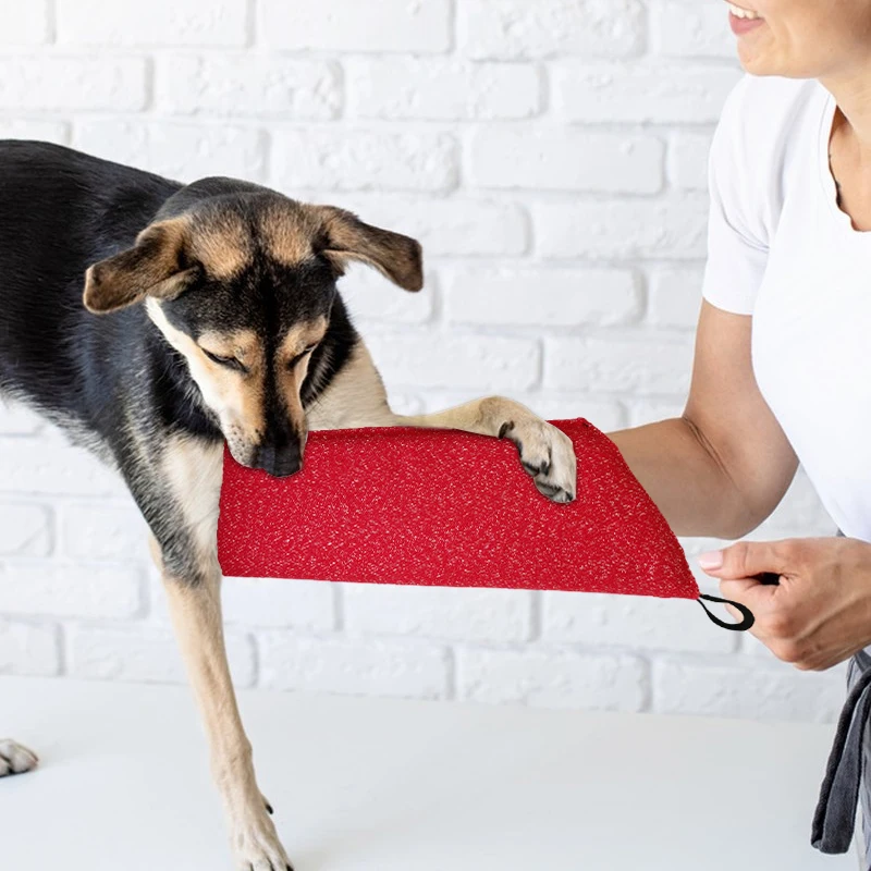 Manchons interactifs de protec - Interactive Squeaky Plush Dog Toy avis et prix
