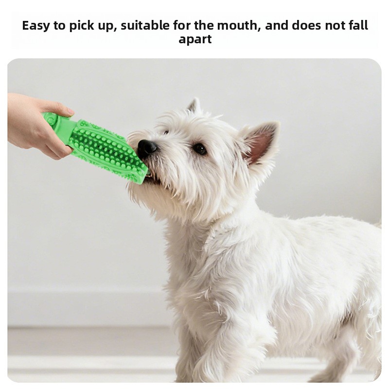 Jouet à mâcher pour le nettoya - Teeth Cleaning Dog Chew Bone avis et prix