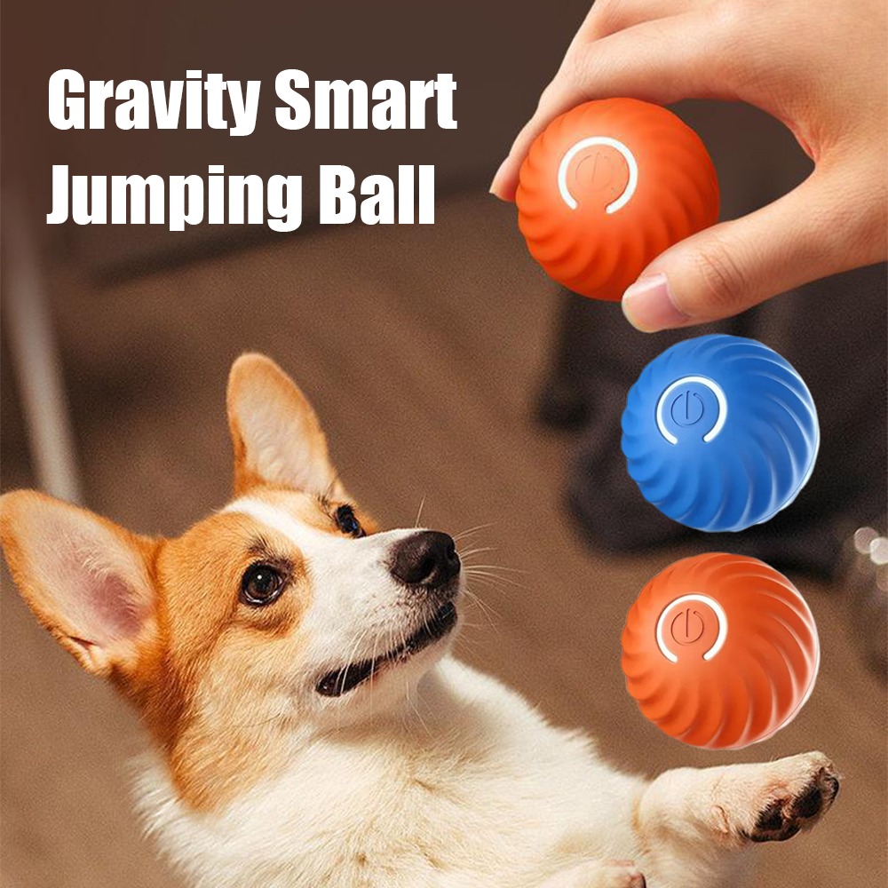 Nouveau 1pc automatique mobile - Automatic Moving Dog Ball avis et prix