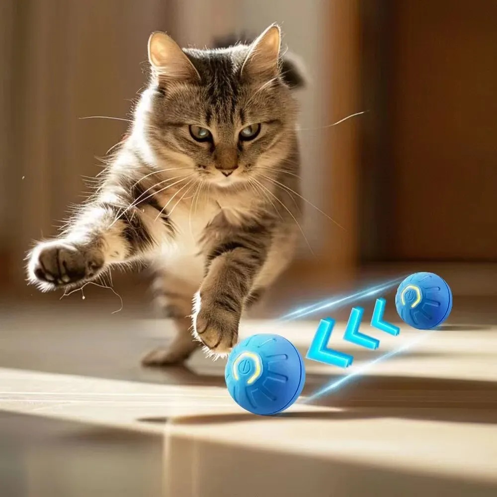 Nouveau 1pc automatique mobile - Automatic Moving Dog Ball avis et prix