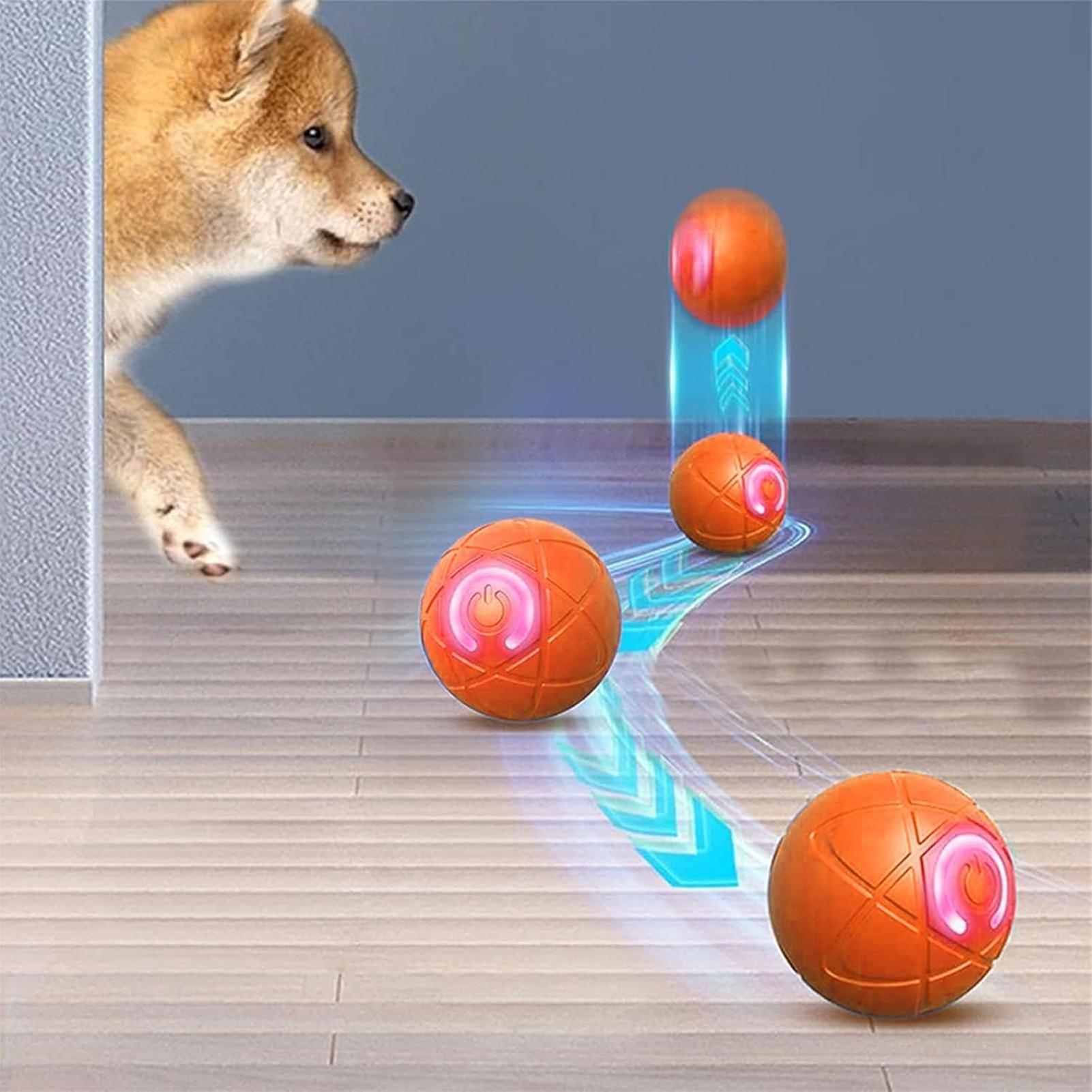Jouets interactifs intelligent - Automatic Moving Dog Ball avis et prix