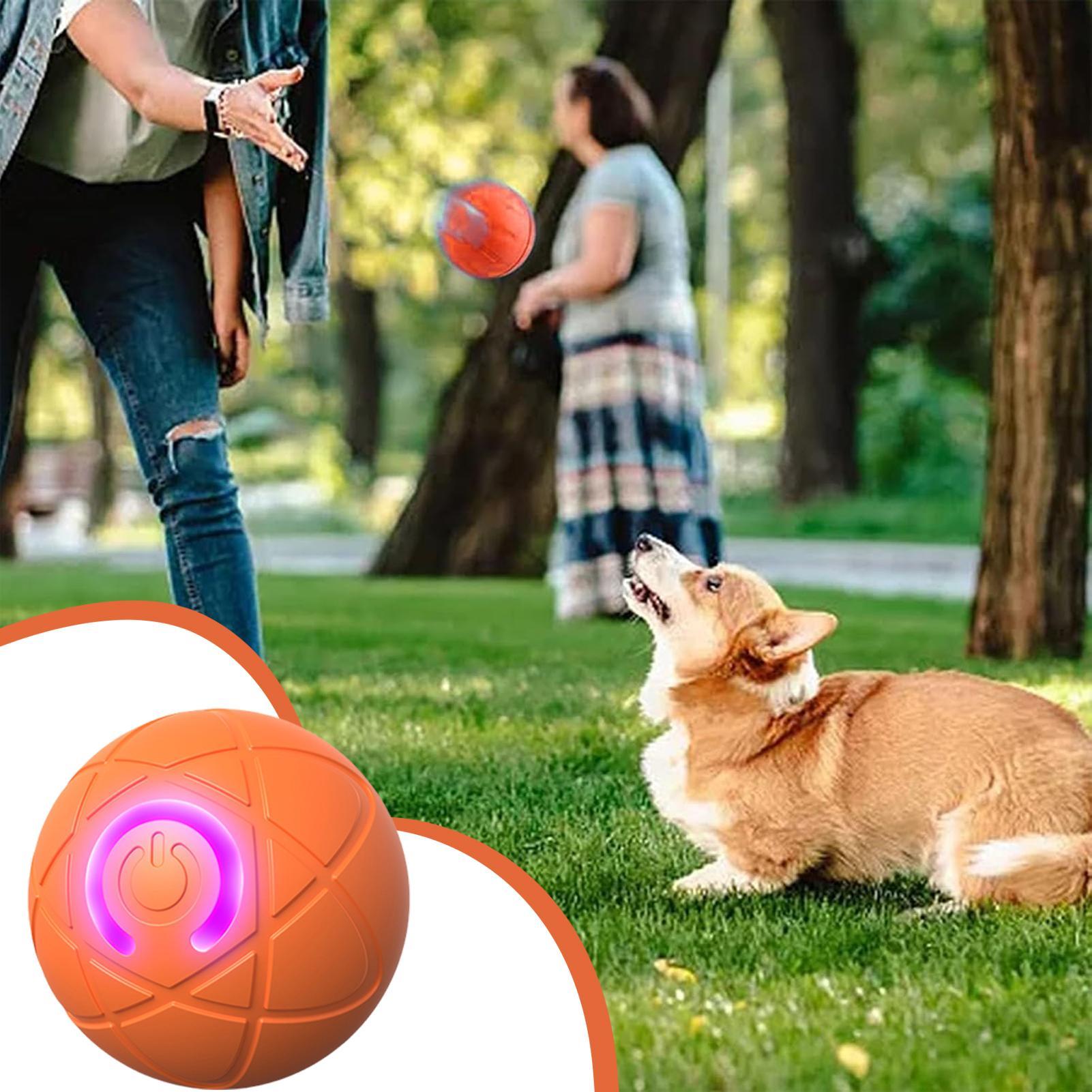 Jouets interactifs intelligent - Automatic Moving Dog Ball avis et prix