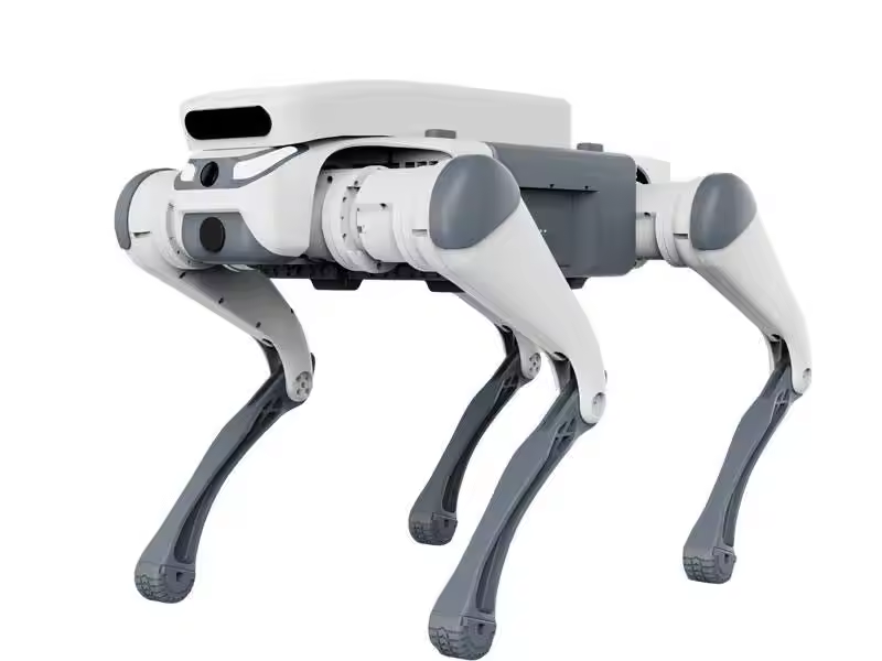 Jouet éducatif télécommandé po - Dog Toys avis et prix