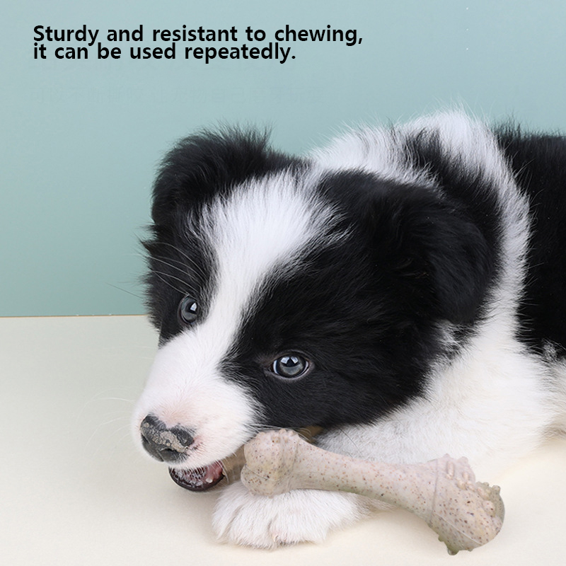Jouets pour animaux de compagn - Teeth Cleaning Dog Chew Bone avis et prix