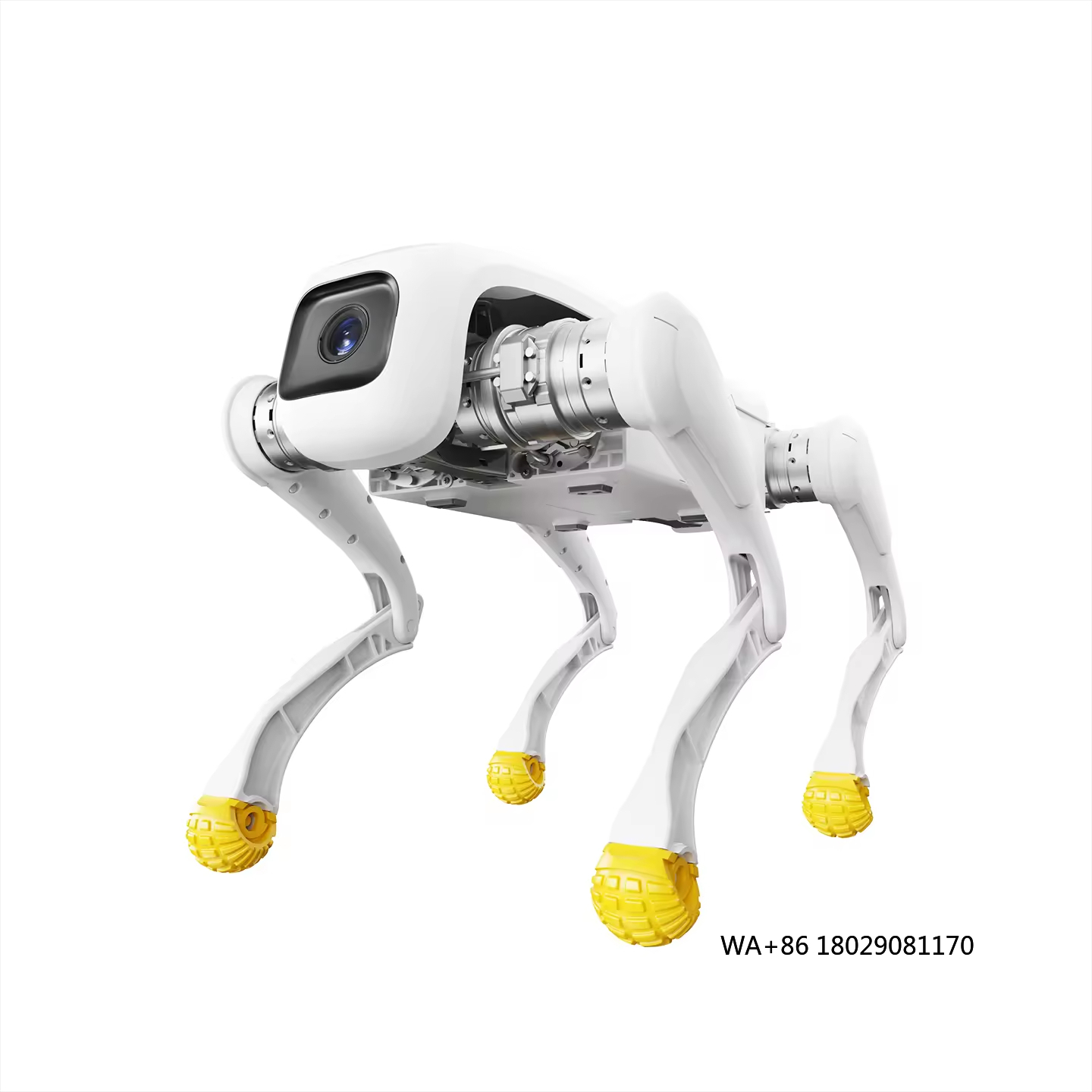 Robot pour chien de conception - Dog Toys avis et prix