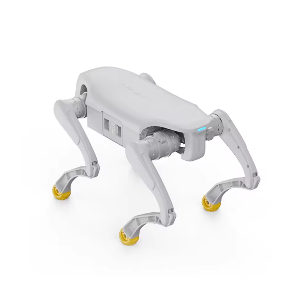 Robot pour chien de conception - Dog Toys avis et prix