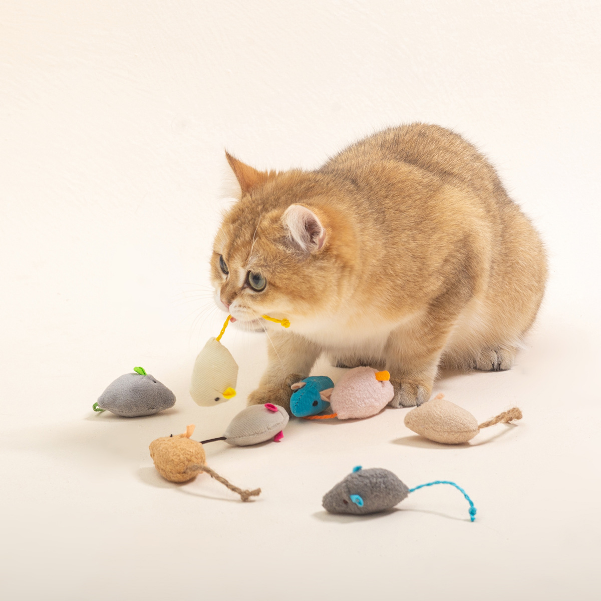 Jouets interactifs pour souris - Catnip Interactive Plush Mouse avis et prix
