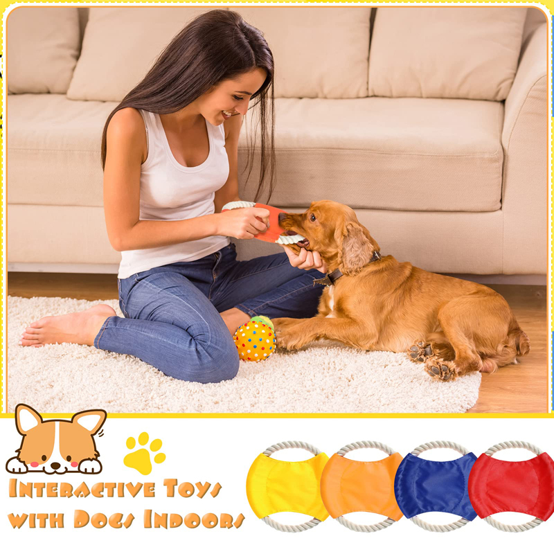 Benepaw – jouets en corde de c - Flying Disc Dog Training Toy avis et prix