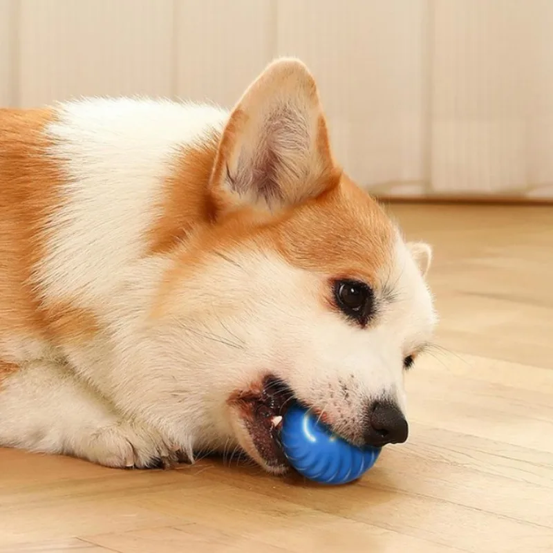 Balle de jeu pour animaux de c - Automatic Moving Dog Ball avis et prix