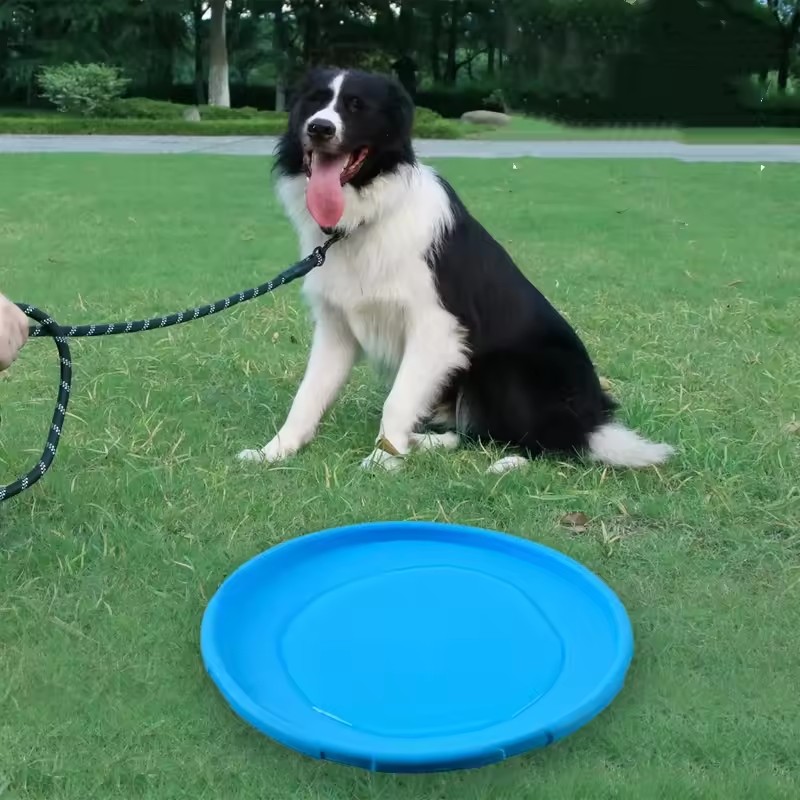 Jouet interactif en silicone p - Flying Disc Dog Training Toy avis et prix