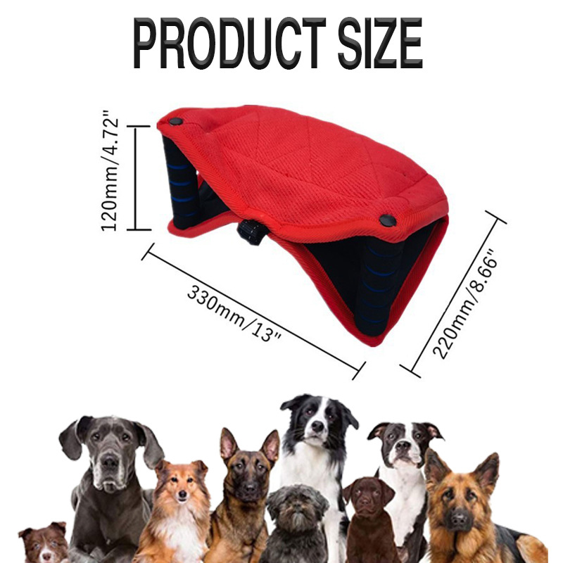 Coussin de morsure pour chien  - Interactive Squeaky Plush Dog Toy avis et prix
