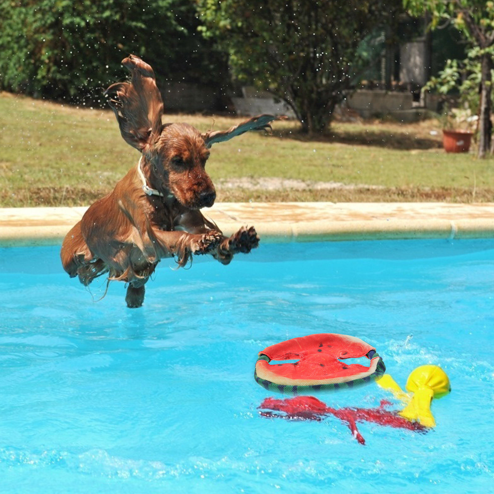 1 pièce, disque volant en form - Flying Disc Dog Training Toy avis et prix