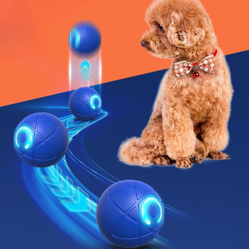 Balle intelligente pour chien, - Suction Cup Dog Tug Toy avis et prix