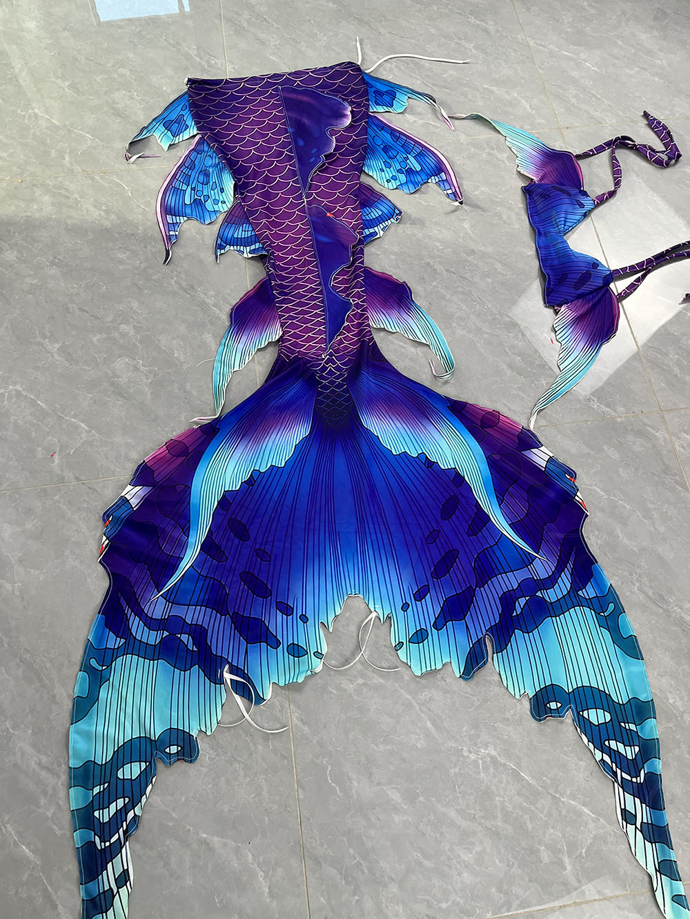 Queue de sirène de rêve coloré - Aquarium avis et prix