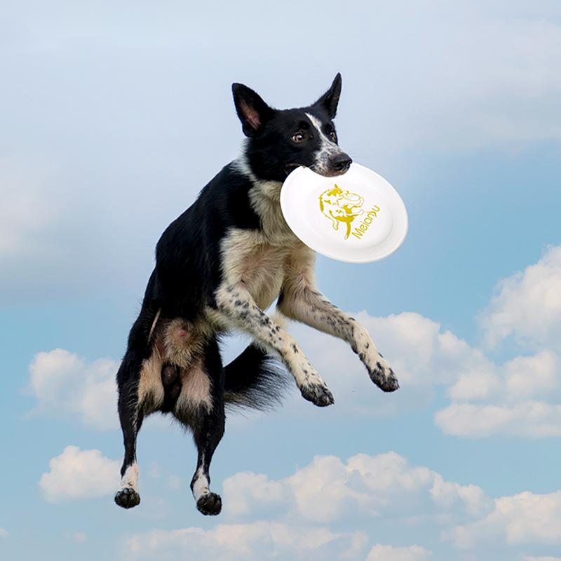 /05/2019 volants vissés en for - Flying Disc Dog Training Toy avis et prix
