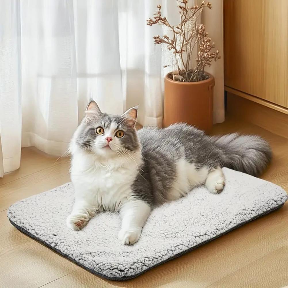 Coussin thermique pour animaux - Pet Beds avis et prix