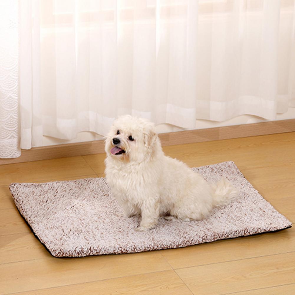 Coussin thermique pour animaux - Pet Beds avis et prix