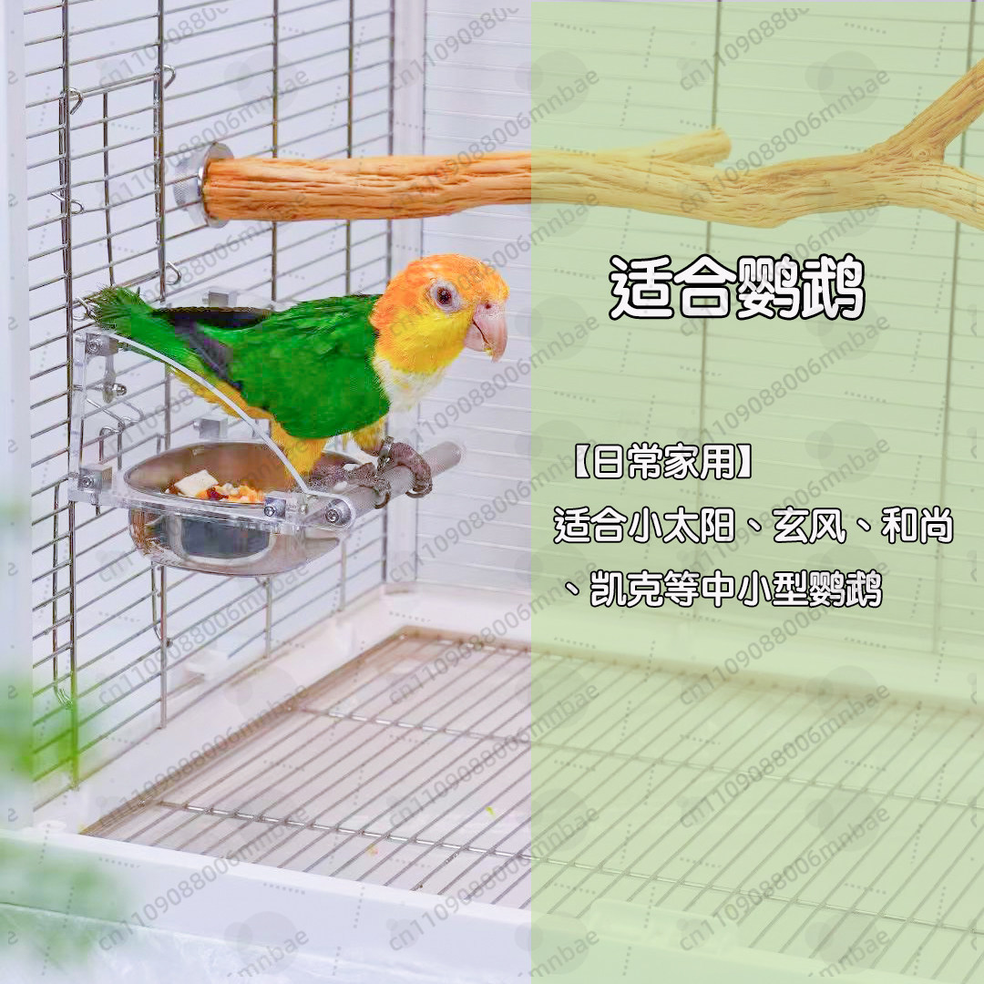 Boîte à nourriture pour perroq - Pet Feeders avis et prix
