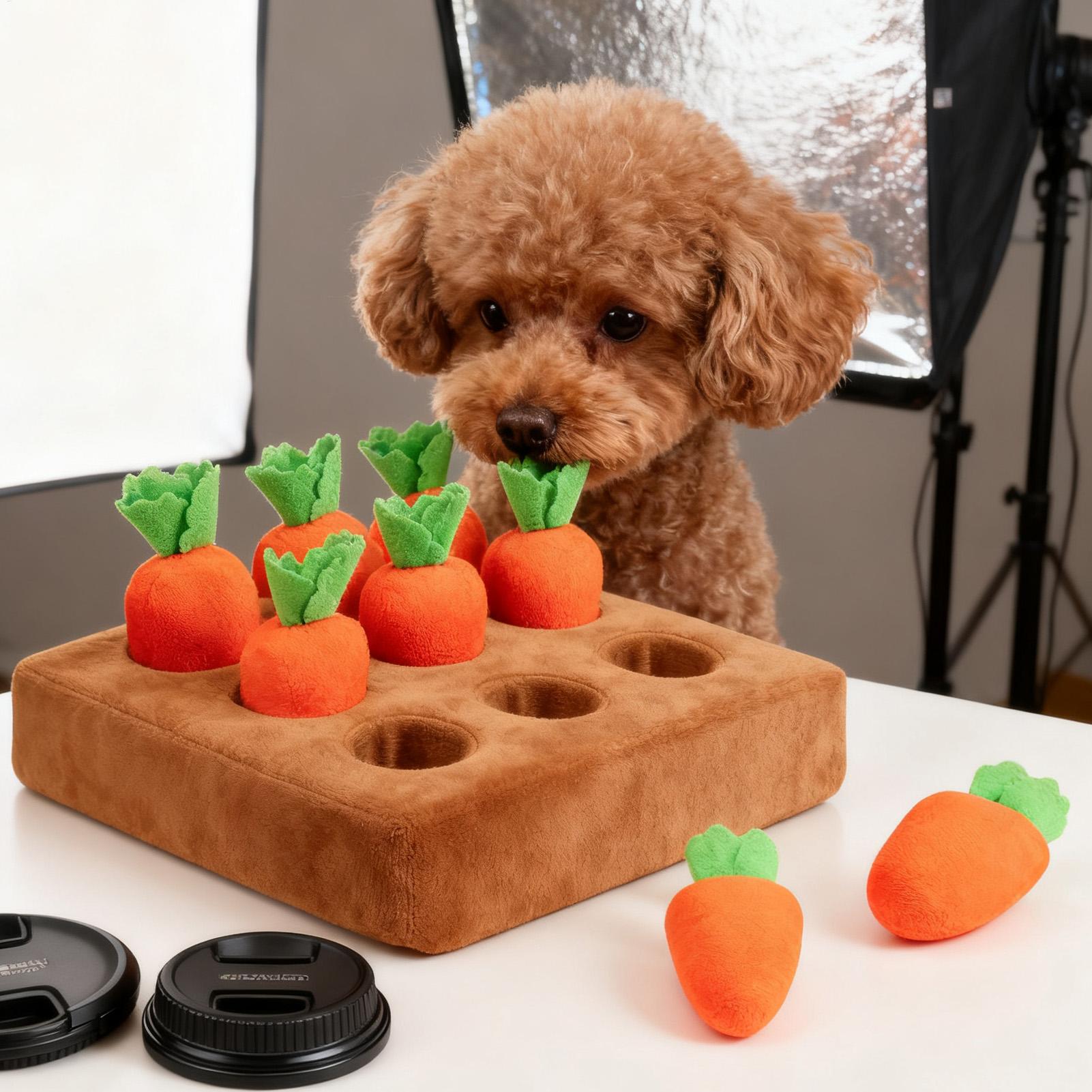 Jouets interactifs en forme de - Snuffle Mat For Dogs avis et prix