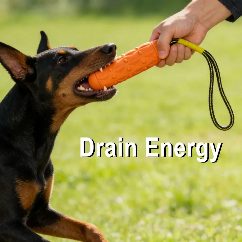 Jouet à mâcher pour chien inde - Dog Rope Toy Aggressive Chewers avis et prix