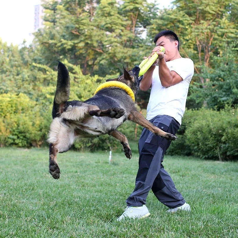 /05/2019 volants OligDog pour  - Flying Disc Dog Training Toy avis et prix