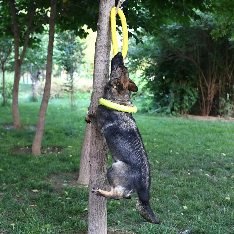 /05/2019 volants OligDog pour  - Flying Disc Dog Training Toy avis et prix