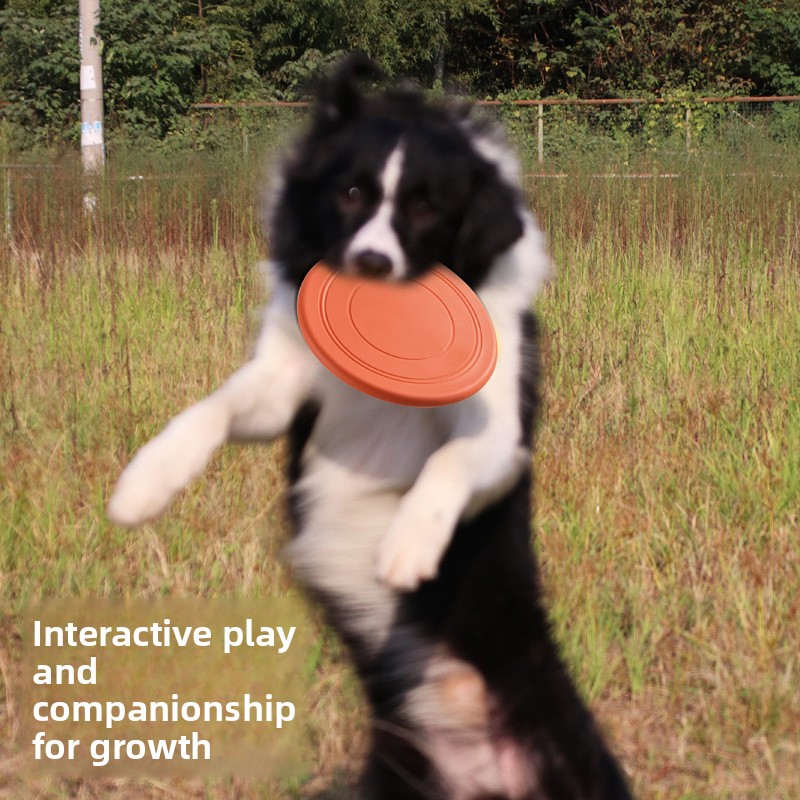 Disque volant pour animaux de  - Flying Disc Dog Training Toy avis et prix