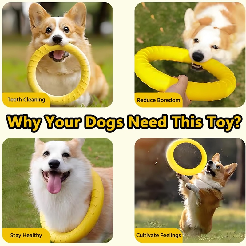 Jouets pour chiens, disques vo - Flying Disc Dog Training Toy avis et prix