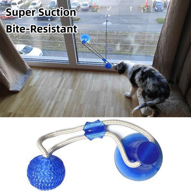Jouet interactif pour chien à  - Suction Cup Dog Tug Toy avis et prix