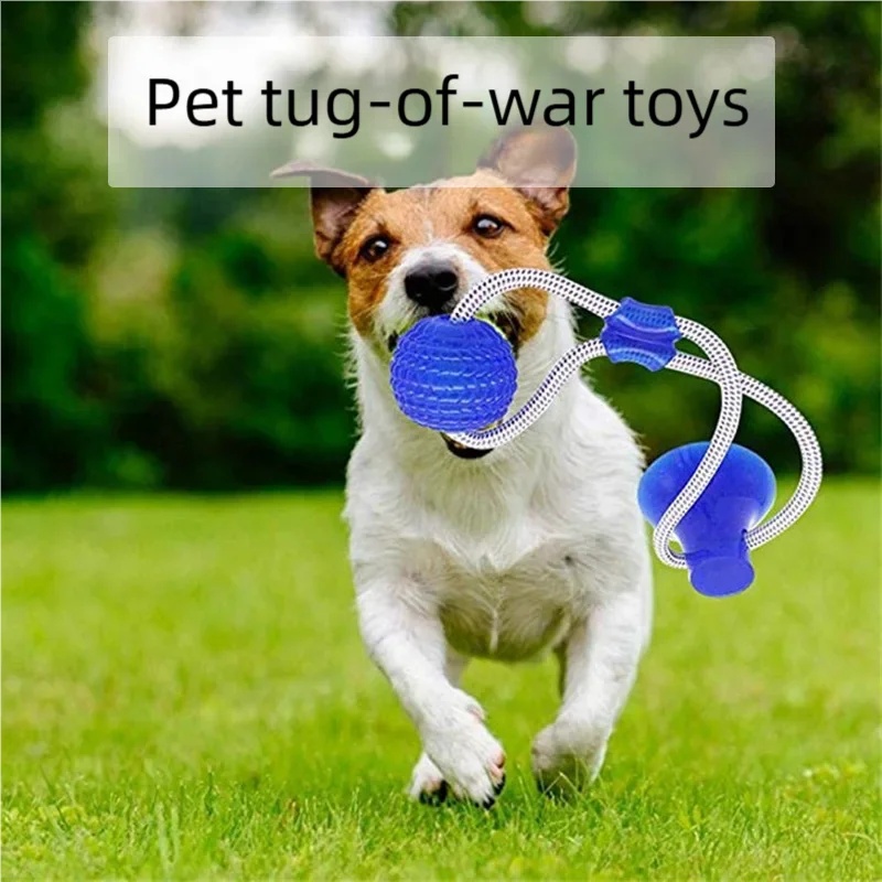 Jouet interactif pour chien à  - Suction Cup Dog Tug Toy avis et prix