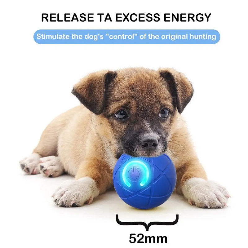Balle de jouet pour chien, bou - Suction Cup Dog Tug Toy avis et prix
