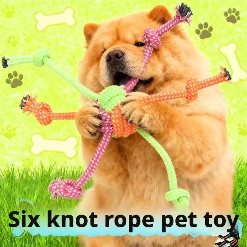 Jouet à mâcher durable pour ch - Dog Rope Toy Aggressive Chewers avis et prix