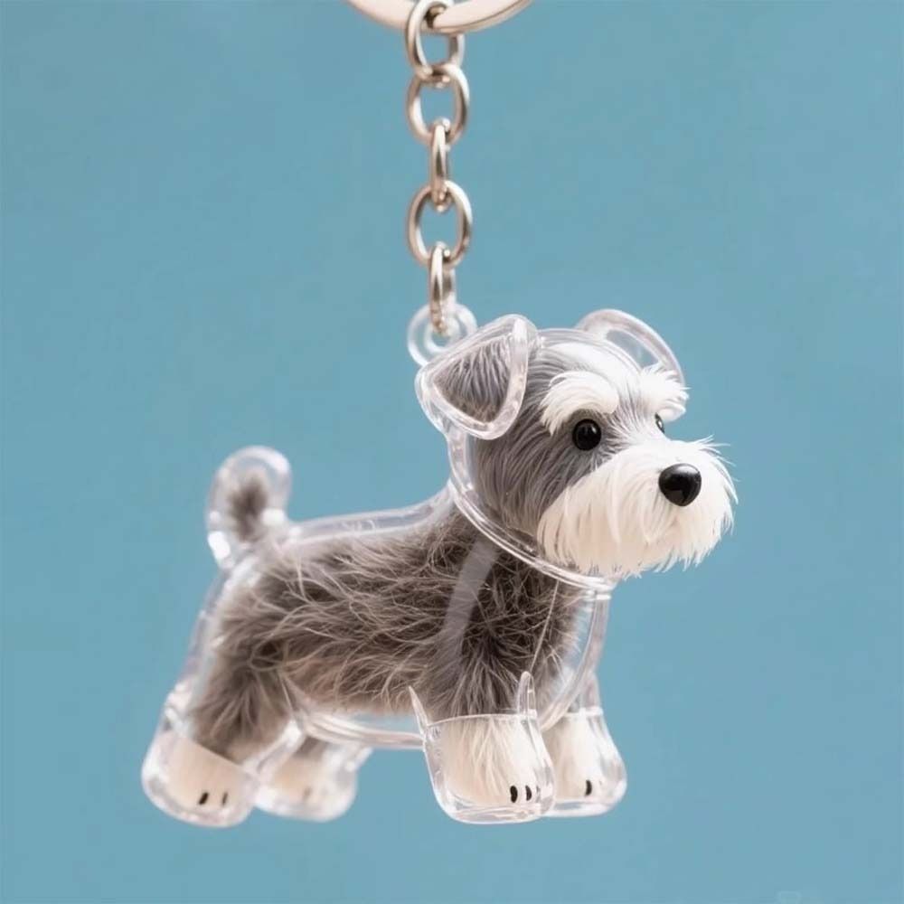Boîte de rangement pour poils  - Pet Grooming avis et prix