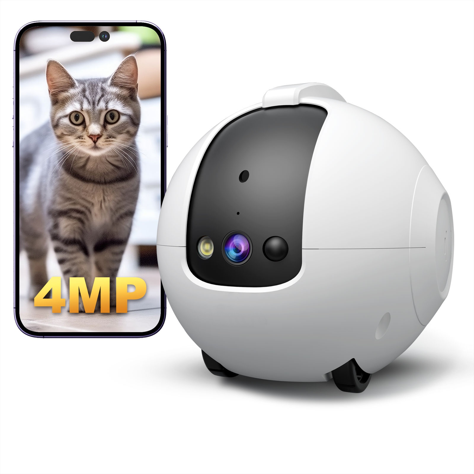 Caméra robot pour animaux de c - Cat Toys avis et prix
