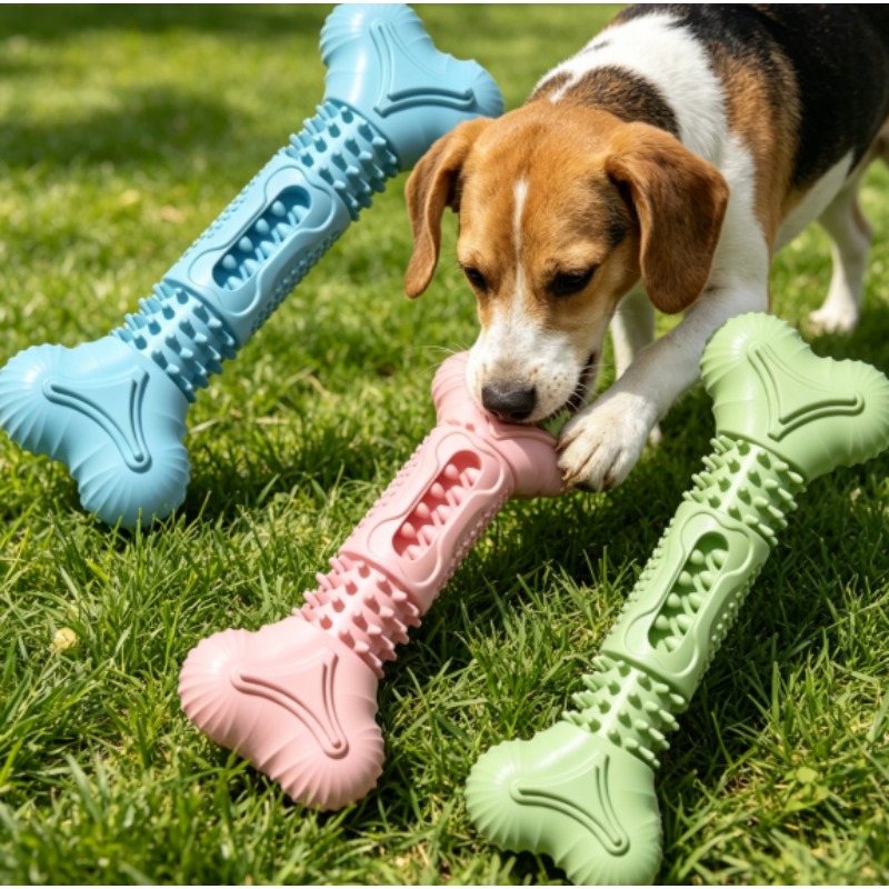 Nouvel ensemble de jouets à mâ - Teeth Cleaning Dog Chew Bone avis et prix