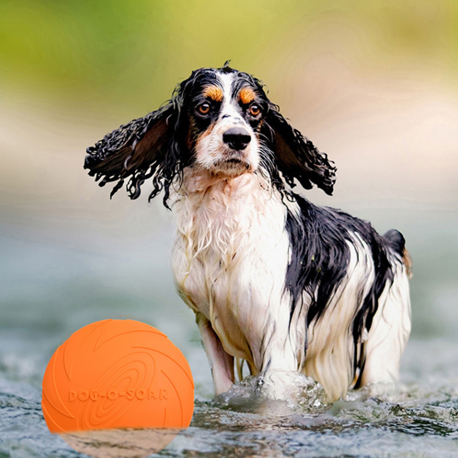 Grand jouet frisbee pour chien - Flying Disc Dog Training Toy avis et prix